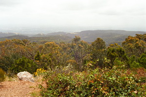 Mount Lofty