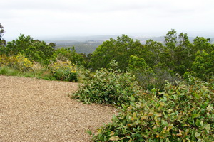 Mount Lofty