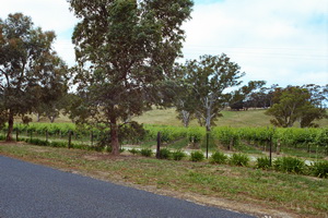 Adelaide Hills