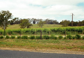 Adelaide Hills