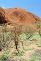 Ayers Rock