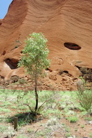 Ayers Rock