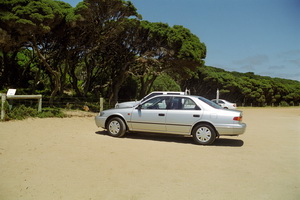 Bells Beach