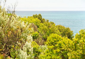 Great Ocean Road