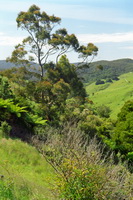 Great Ocean Road