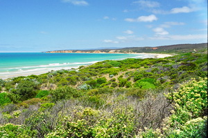 Great Ocean Road