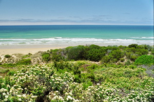 Great Ocean Road