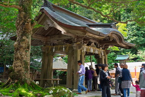 Yahiko Shrine