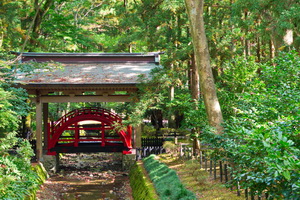 Yahiko Shrine