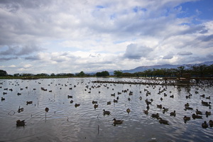 Lake Hyoko