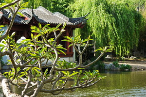 Chinese Garden of Friendship