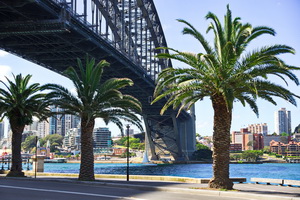 Harbour Bridge