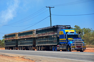 Road Trains