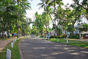 Palm Cove