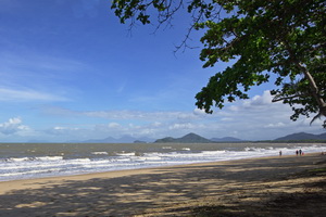 Palm Cove