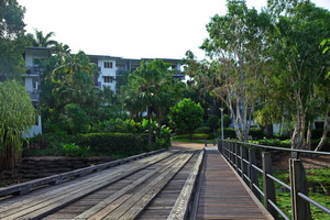 Palm Cove Sacnctuary