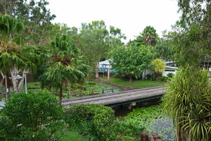 Palm Cove Sacnctuary