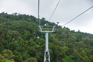 Skyrail Rainforest Cableway