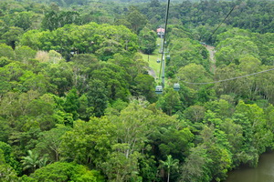 Skyrail Rainforest Cableway