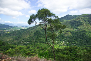 Kuranda Scenic Railway