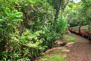 Kuranda Scenic Railway