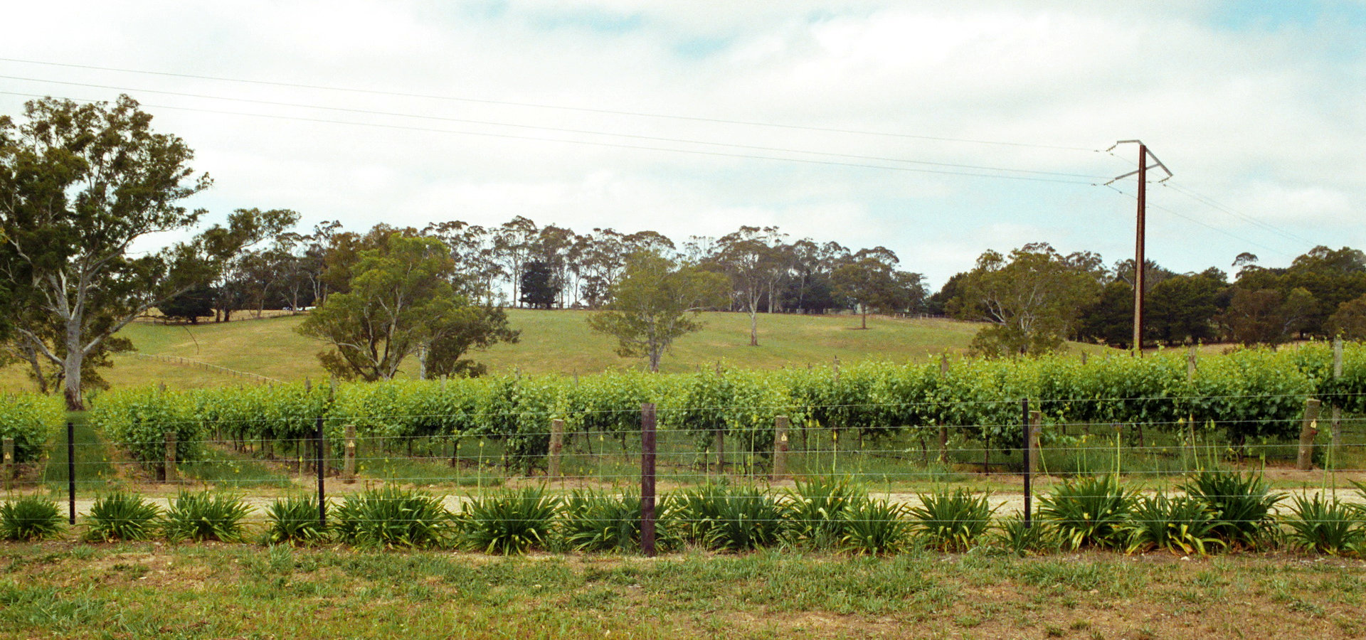 Adelaide Hills - Australien 2002