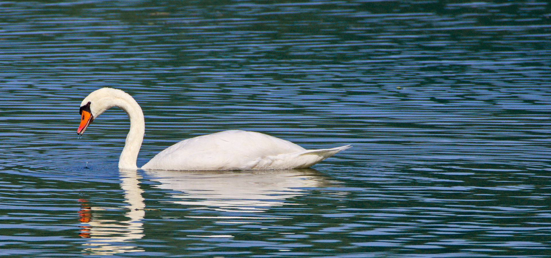 Klostergarten Rietberg - Sonstiges
