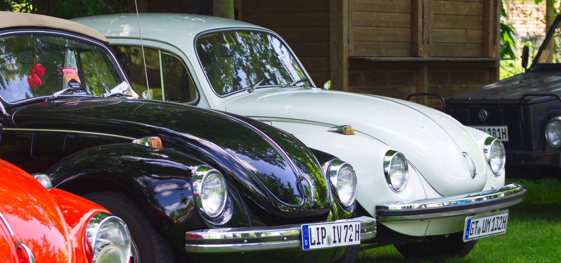 Käfertreffen, LGS-Gelände Rietberg, Parkteil Nord - Käfertreffen 2015