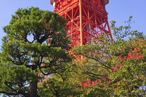 Tokyo Tower