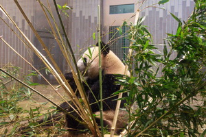 Ueno-Park