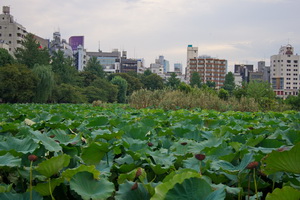 Ueno-Park