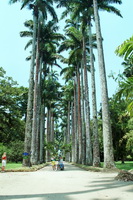 Jardim Bot&acirc;nico