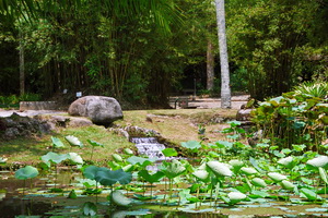 Jardim Bot&acirc;nico