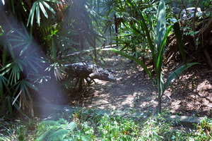 Jardim Zool&ocirc;gico