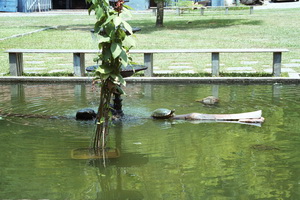 Jardim Zool&ocirc;gico