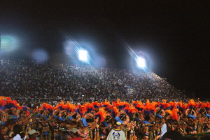 Karneval in Rio